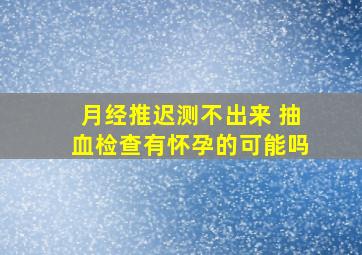 月经推迟测不出来 抽血检查有怀孕的可能吗